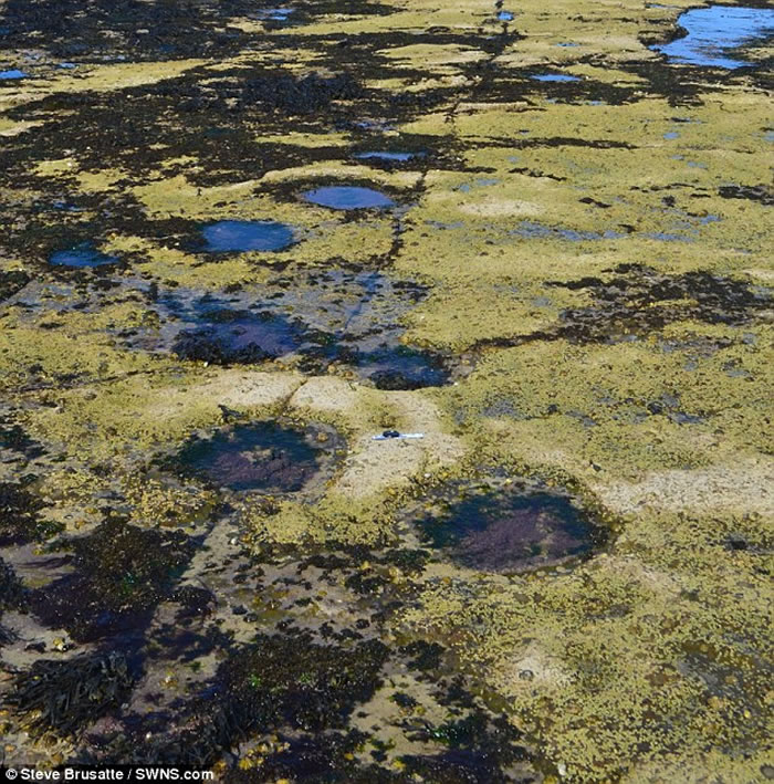 这些足迹构成苏格兰有史以来发现到的最大规模恐龙遗址