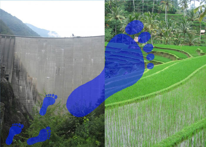 局部人类活动比过去认为的对总体水生态足迹的改变更大