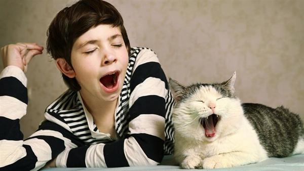 打哈欠为什么会传染呢？这真是太神奇了