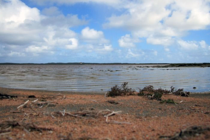 澳洲神秘乔治湖Lake George成谜：时而湖光粼粼时而干涸无水