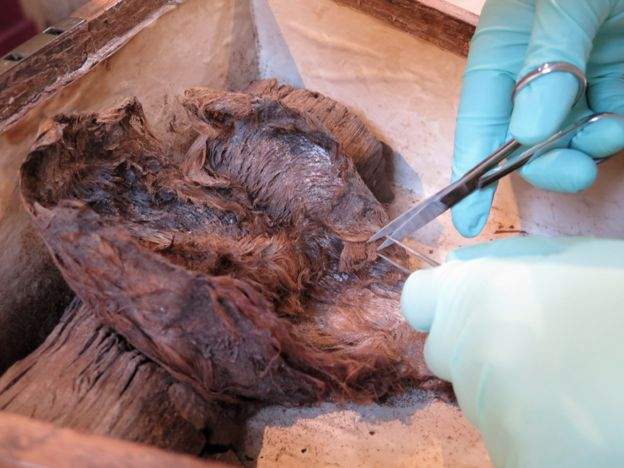 考古疑云《只有头发的棺材》那其他的部分到哪去了...... - 图片8