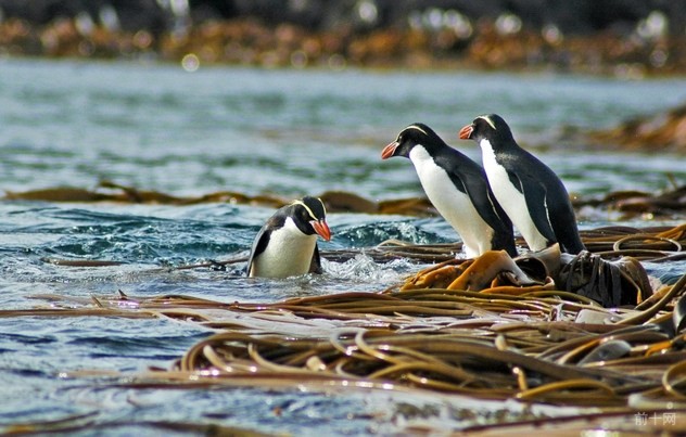 9_iStock_000049803762_Small