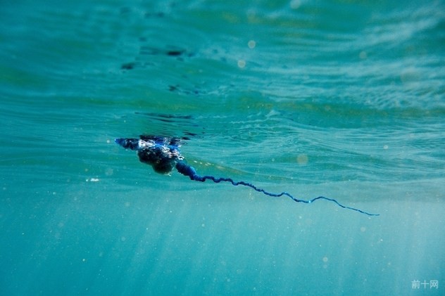 4_iStock_000075227055_Small