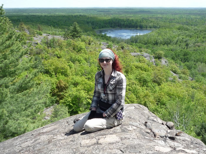 最新研究表明彗星和陨石为地球生命带来所需的能量和有机物，陨石坑成生命生长温床