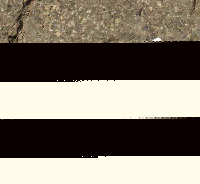 朝阳县羊山镇大四家子村山足迹化石为食肉性恐龙脚印