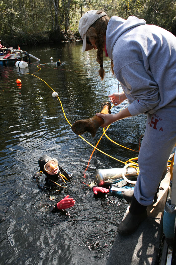 人类迁徙到北美的时间推至14550年前 比预计早1500年