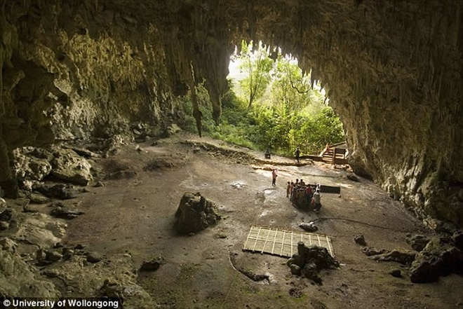 现代人类祖先进入弗洛雷斯岛导致霍比特人灭绝
