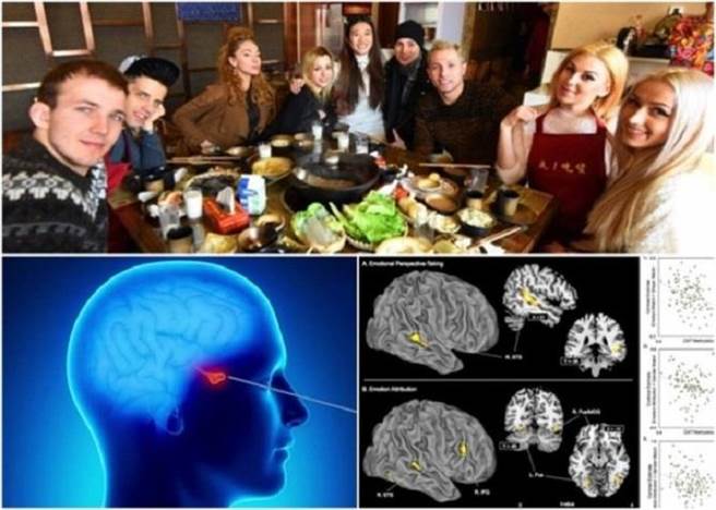 研究发现人类脑部有“健谈基因”，是令人类善于社交的重要基因之一。