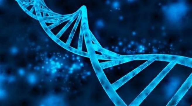 在动物死后，有些基因反而活过来了，而大部分这些“不死”基因都跟胚胎生长和发育有关。(图片取自irishexaminer)