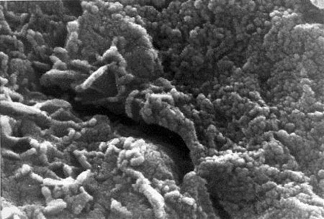 有许多研究人员认为，那实际上是由矿物质活性所造成的。