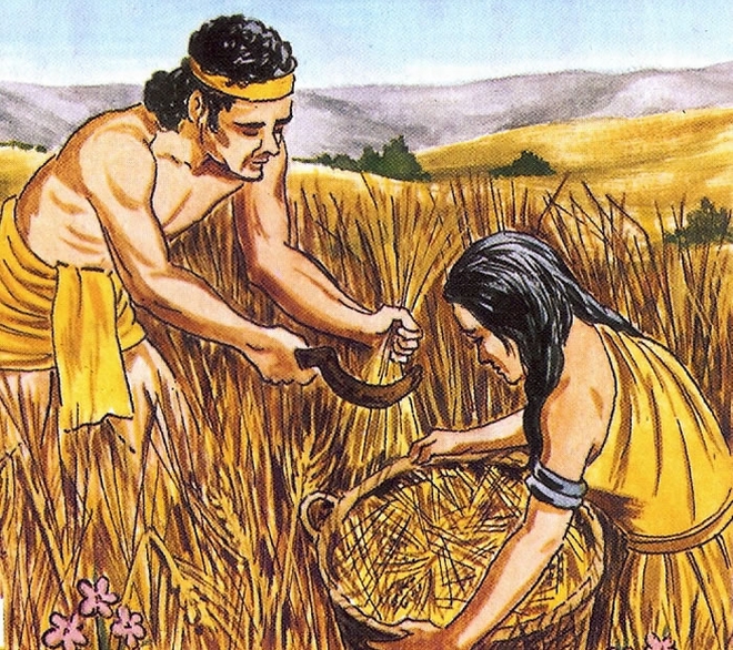 新石器时代农业驱动男性人口扩张