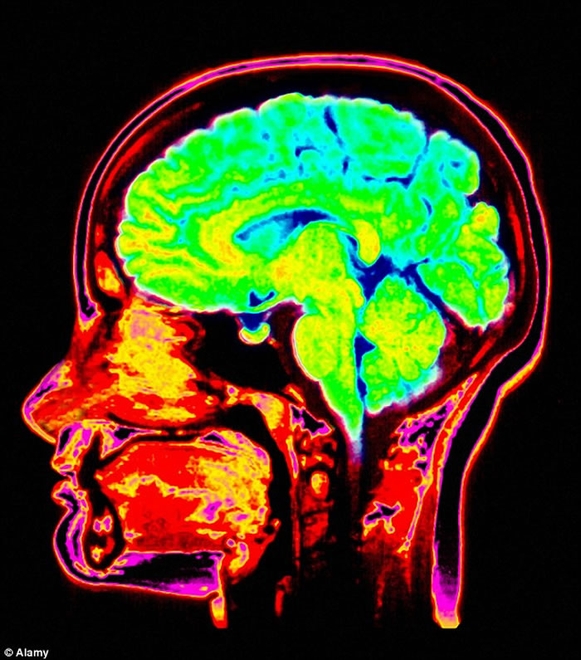 人类智力可能因为对育儿的需求做出响应而进化