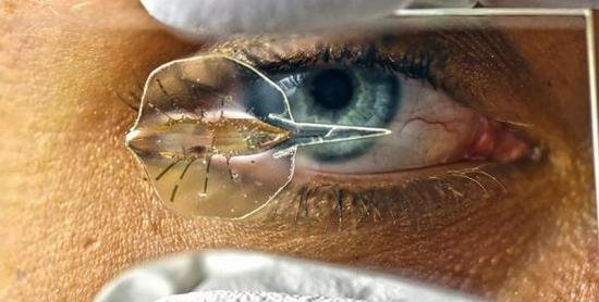 科学家用活体细胞创造了出机器鱼!啧啧啧~好腻害