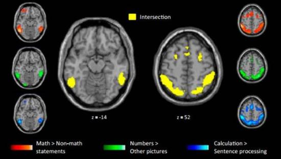 处理高等数学命题(红)与进行数字(绿)和计算(蓝)时活跃的区域基本重合。