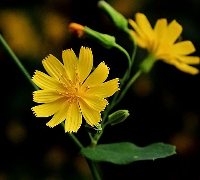 a8011632_s a8011632_s