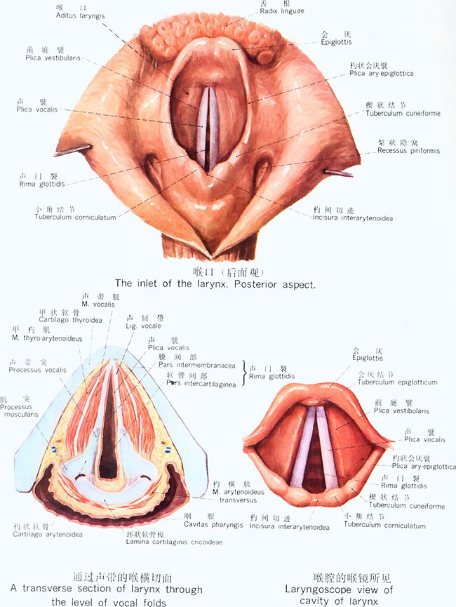 7034ff039245d688ea2e5c2ba4c27d1ed31b245e
