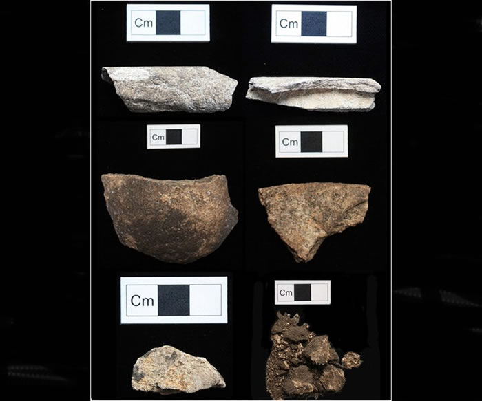 考古学家对人类骨骼碎片中的胶原蛋白序列进行了分析