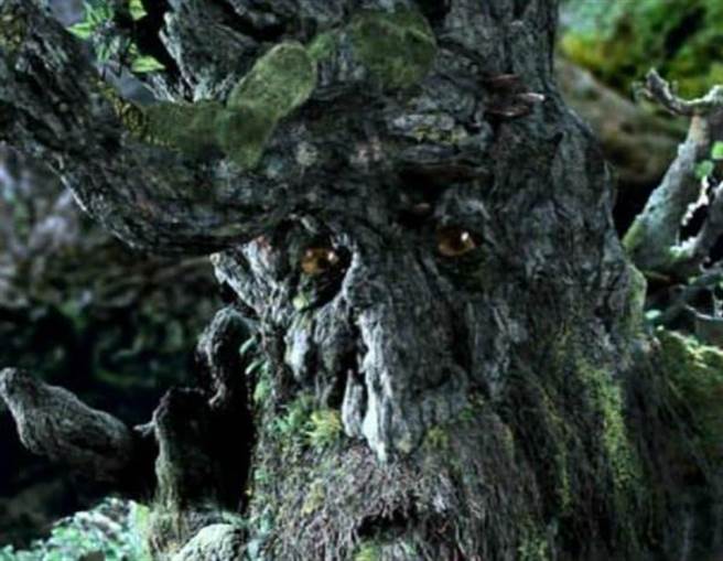 食人树真会吃人吗？恐怖传闻令人不寒而栗