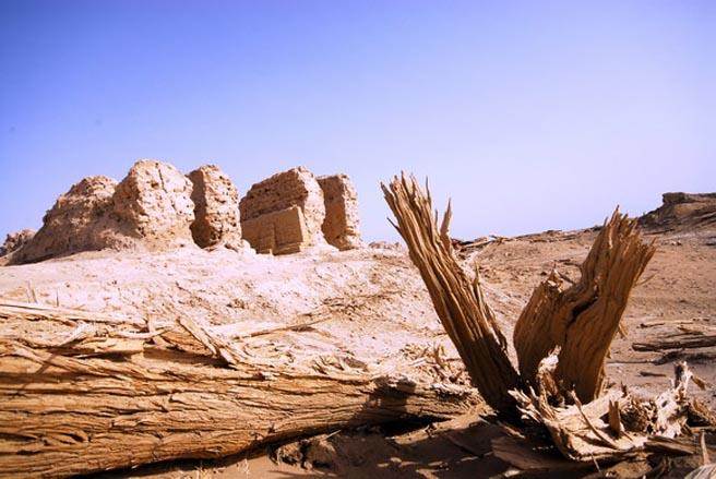 据研究表明，古墓沟墓葬中的人类遗骨，具有古欧洲人类特点。