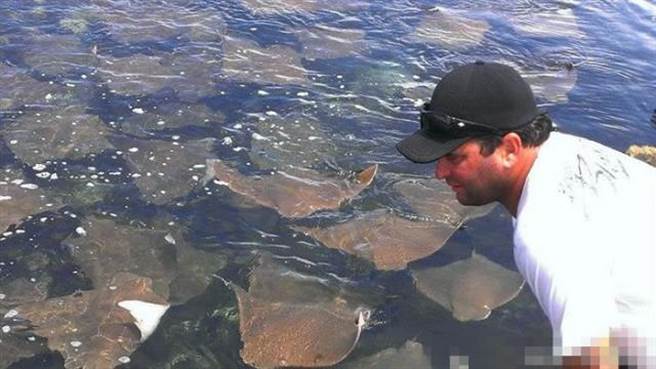 魔鬼鱼又叫魟鱼，是鲨鱼的同类，它们喜欢藏身海底沙泥中。