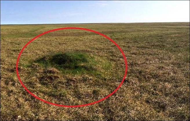 西伯利亚草地无故凸起