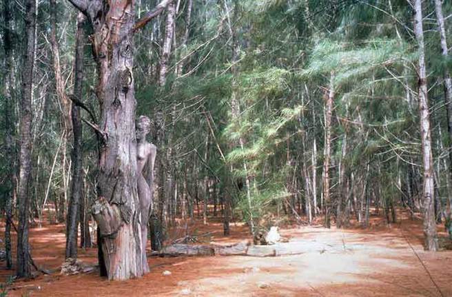 这些模特儿与大自然融为一体 你能看出几个？