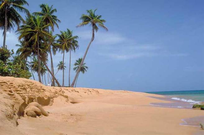 材料源于水彩、颜料、黏土、灰尘，甚至一些食材。