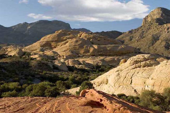 他的作画工具就是画笔、海绵和自己的双手。