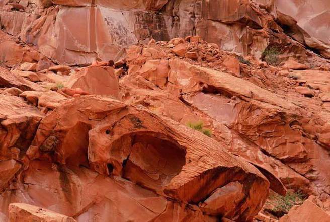 利用艺术表达对大自然的热爱和敬畏，在镜头中一展无遗。