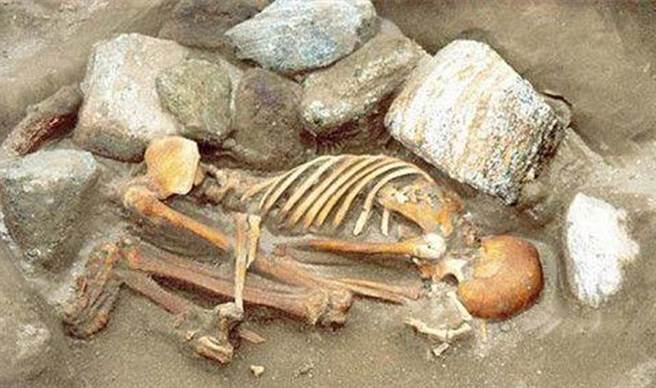 他们身体的各部分，竟然来自6个不同的人。