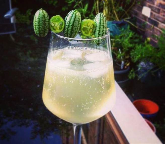 “拇指西瓜”又被称为“墨西哥酸黄瓜”