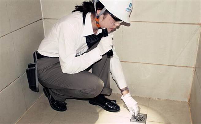 家庭中出现的蛾蠓通常是黑色的，因为翅膀上黏有下水道污垢的关系。