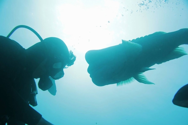 Yoriko-and-Arakawa-Friendship-889x592