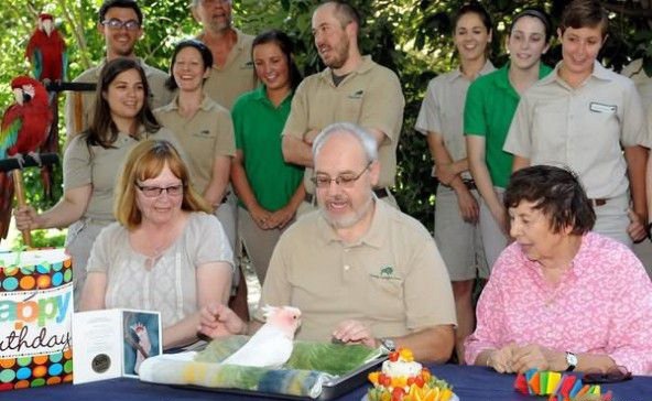 世界上寿命最长的鹦鹉 83岁的米切氏凤头鹦鹉