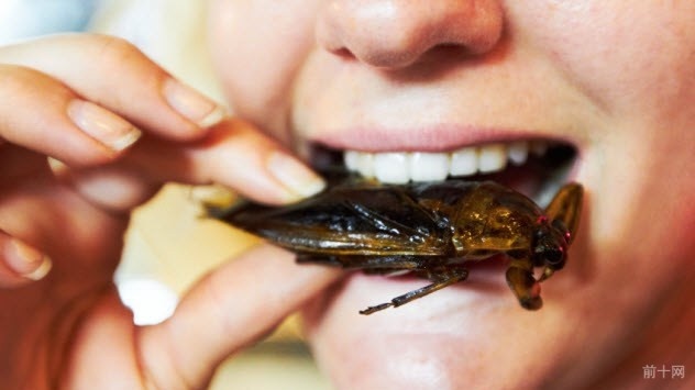 5-eating-insects
