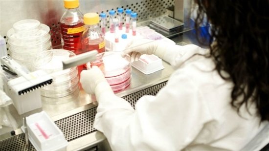 科学家在用抗体进行实验。图片来源：Cell Signaling