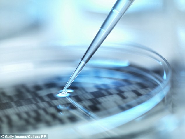 34C9C17400000578-3617260-image-a-14_1464683801507