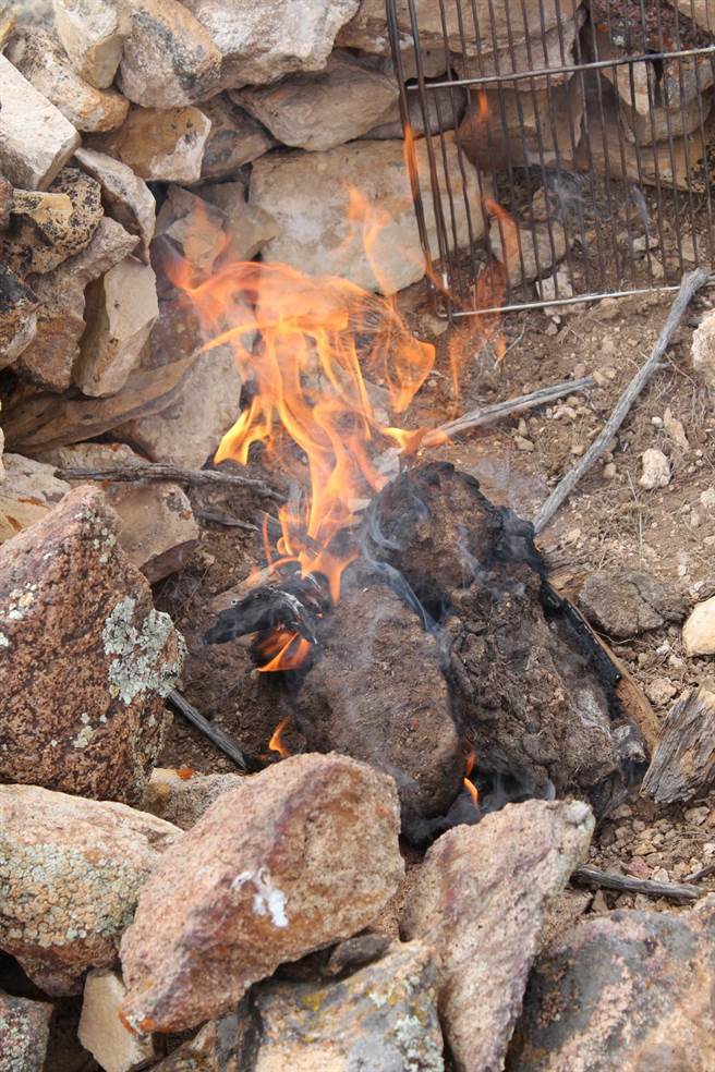 非常令人惊讶啊...