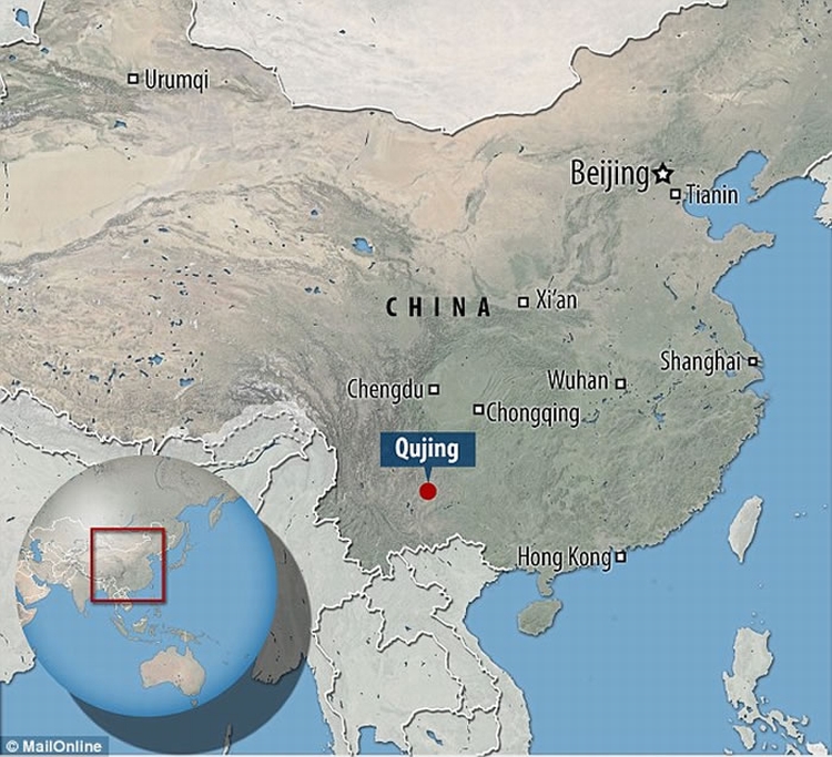 早期维管植物遗存提供亚洲最早的有根土壤床证据