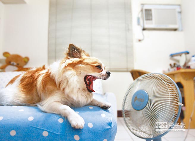 舒服到不时打哈欠 舒服到不时打哈欠