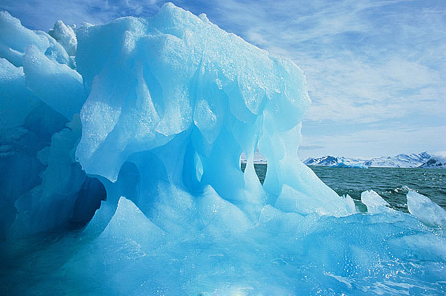 文章附图 文章附图