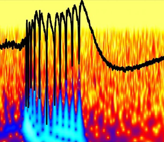 一种新型“特洛伊木马”抗体能克制埃博拉病毒感染