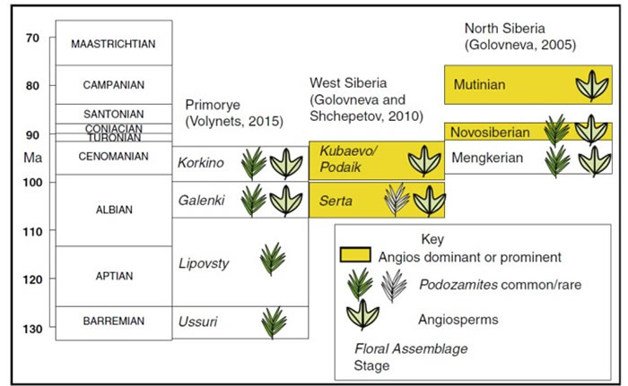西伯利亚地区白垩纪中期苏铁杉和被子植物演替示意图