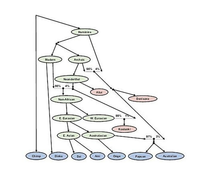 研究人员得出研究结论称,人类历史上只有一波离开非洲的迁徙,正是这一波迁徙最终形成了现在的全球人口分布。