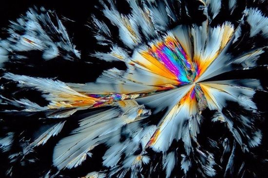 抗抑郁药物氟西汀会引发骨量损失。