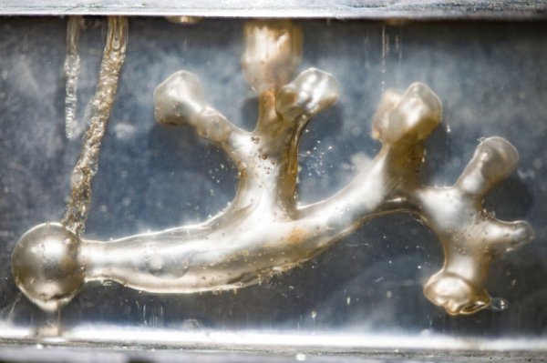 坐过山车可能有益身体健康,比如排石