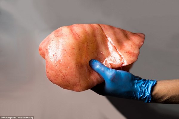 3D打印人体模型，将用于训练外科医生 [慎入]