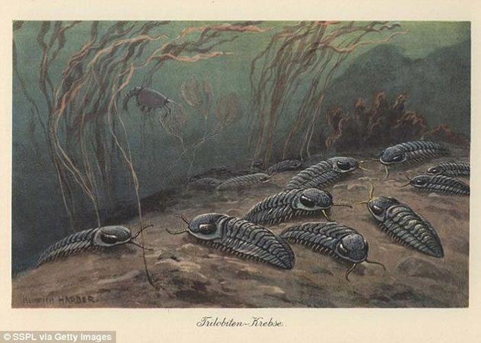 在“二叠纪-三叠纪灭绝事件”之后,生命的复苏过程大约花费了500~900万年之久。在此次严重的灭绝事件中,地球上海洋生命的96%以及陆地生命的大约70%都消失了