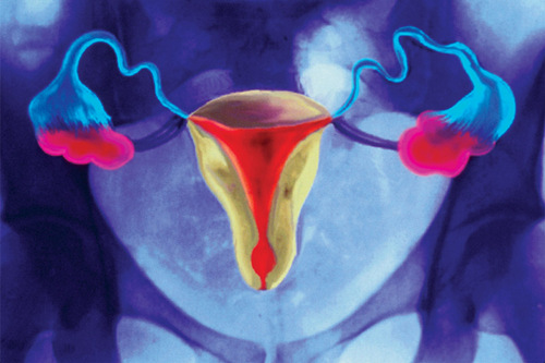 年轻的秘密?图片来源:BSIP VEM/Science Photo Library