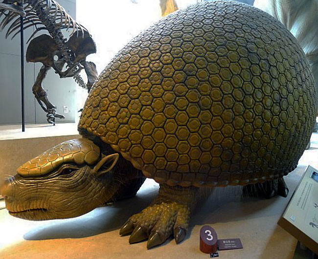 003d7KX0gy6SSVNWPbh27&690 003d7KX0gy6SSVNWPbh27&690